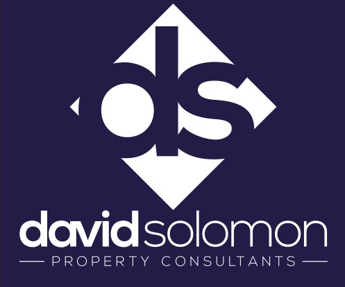 Logo of David Solomon Property Consultants